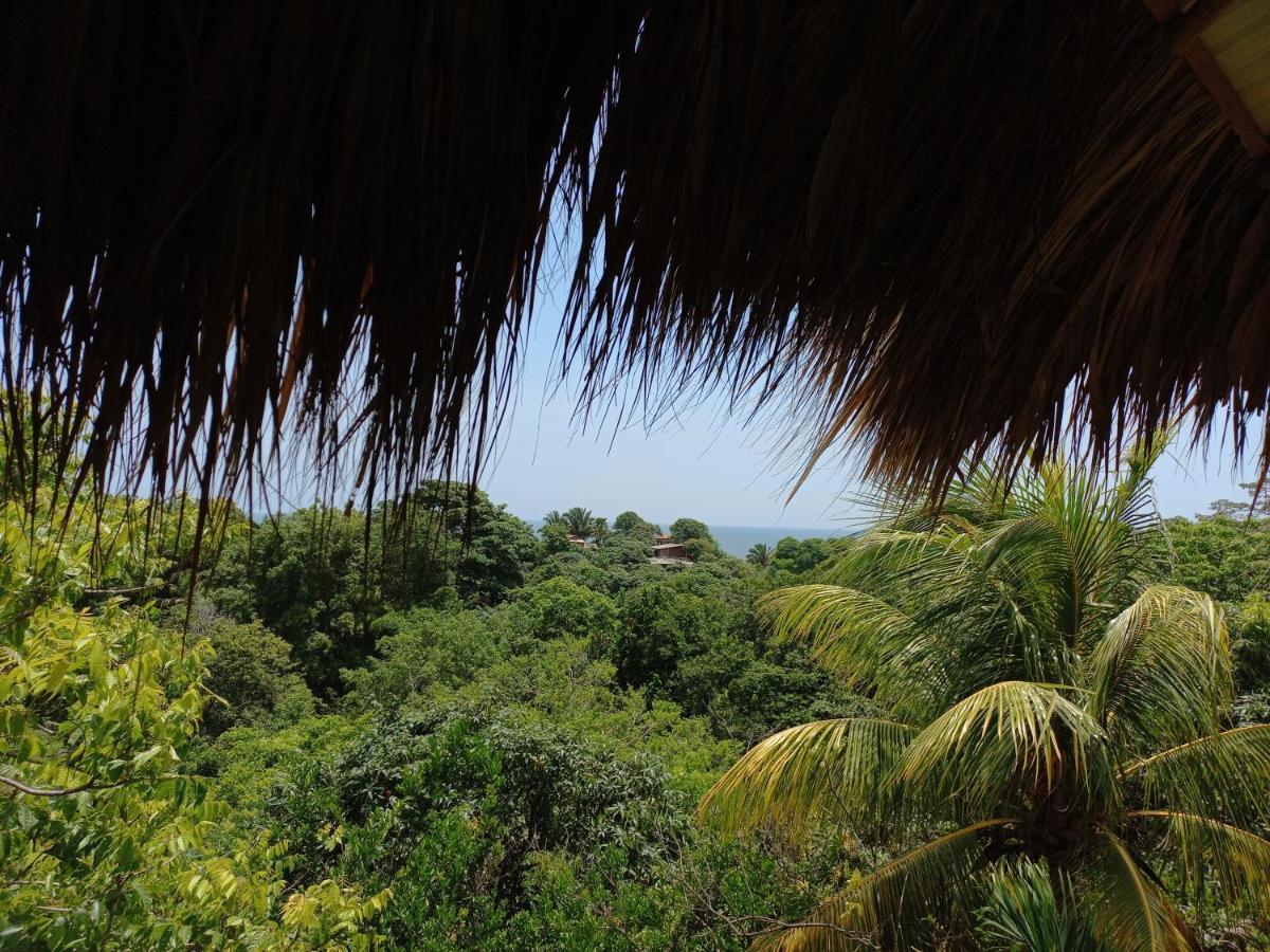 Magdalena Beach House Los Naranjos Ngoại thất bức ảnh